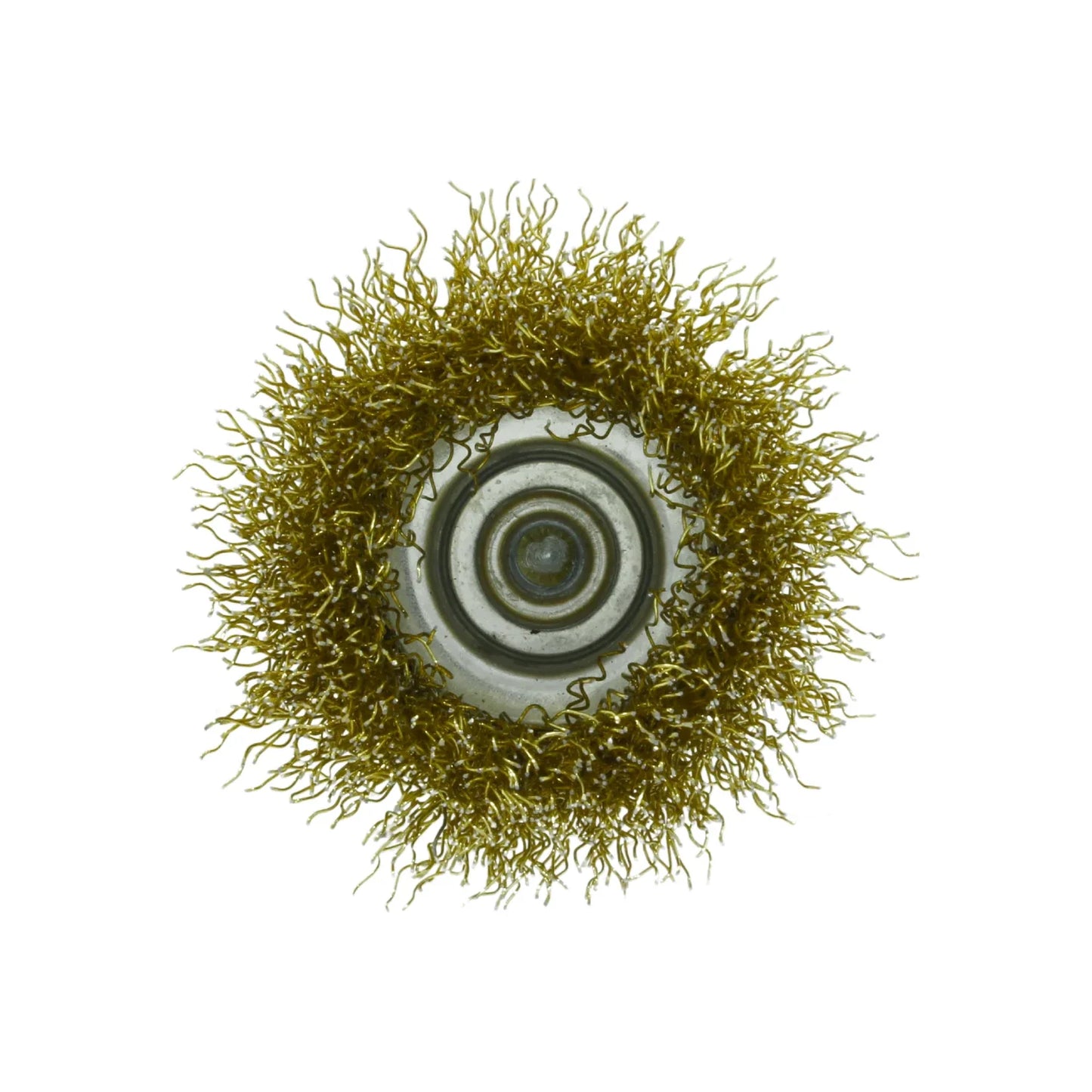 Carda circular 1 3/4" calibre 30 Byp COT175GN