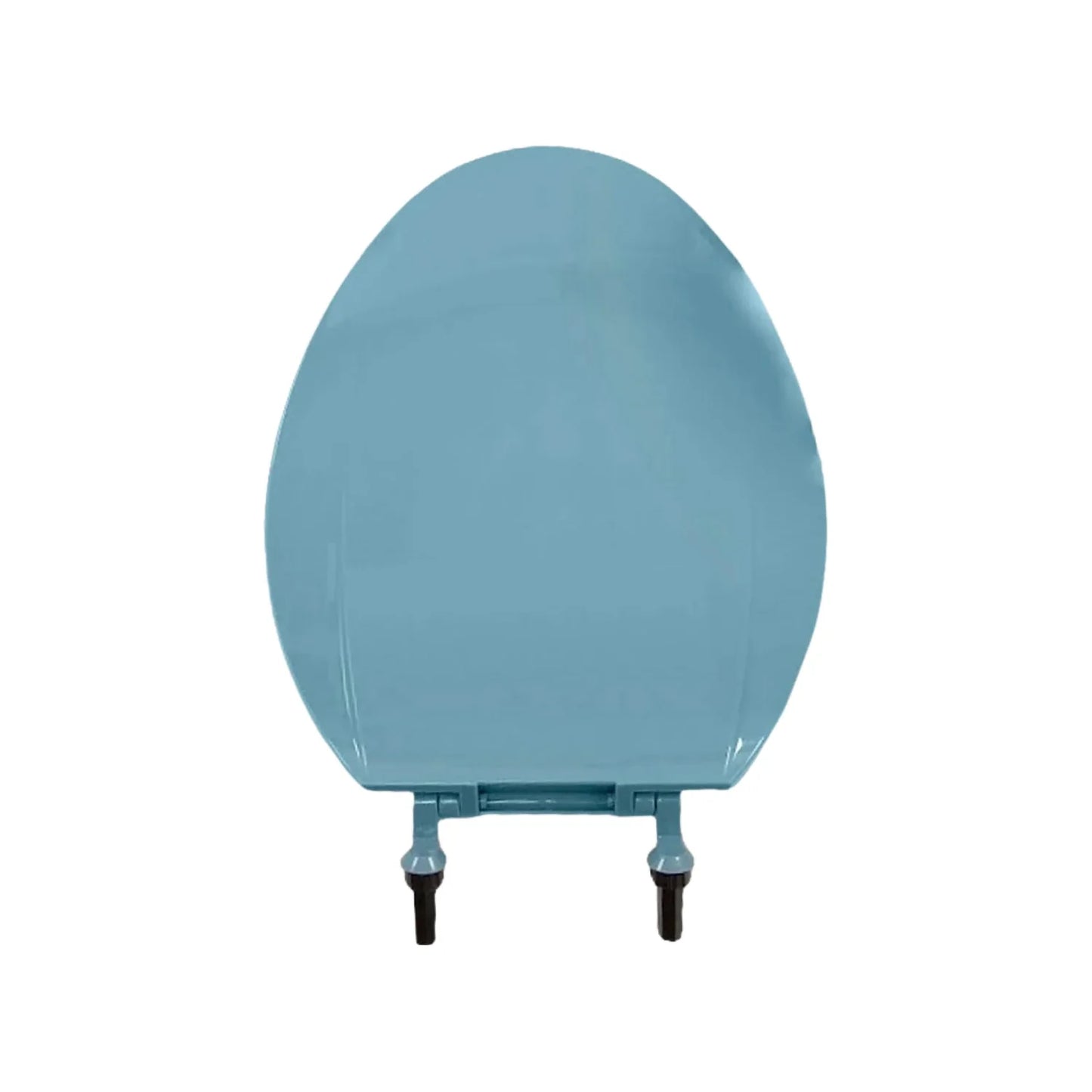 Asiento para baño azul holandés Vicar M96