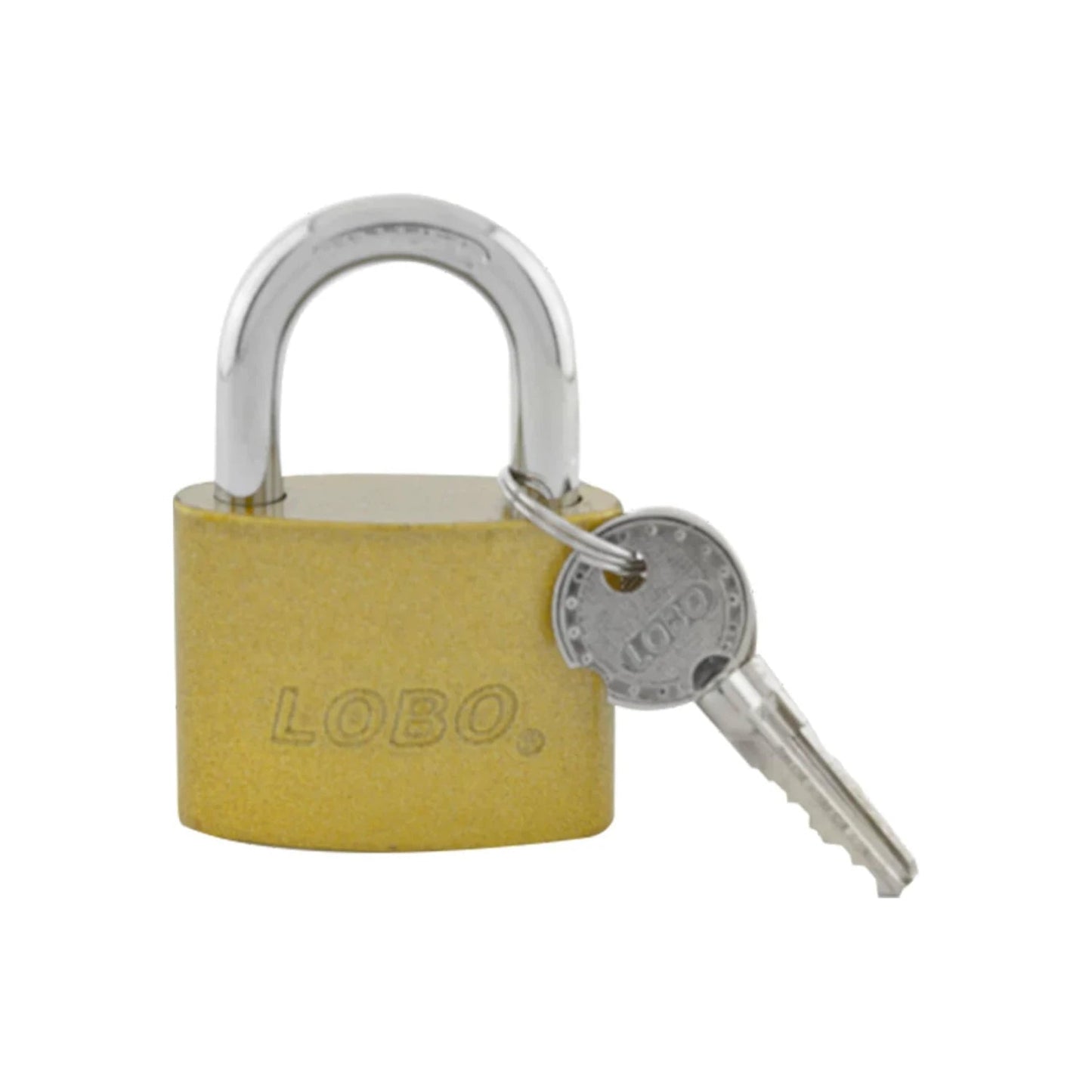 Candado de seguridad LOBO dorado de latón con gancho corto y llave para puertas y objetos personales
