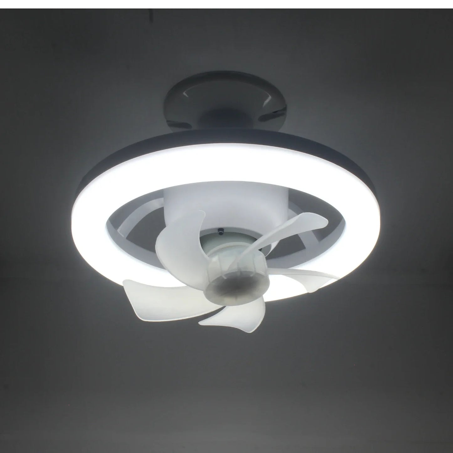 Lámpara con ventilador 50 W Maigoo MG7805