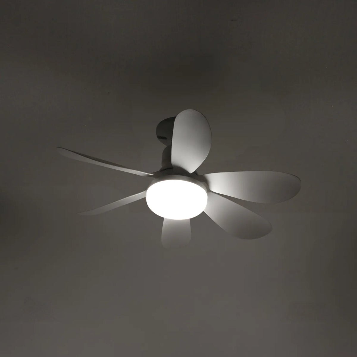 Ventilador de techo blanco con luz LED integrada y 5 aspas redondeadas de diseño moderno para interiores.