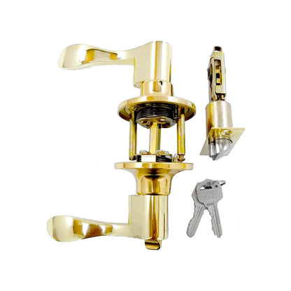 Cerradura y manija dorada Dexter tipo palanca para puerta, con mecanismo interno expuesto y dos llaves.
