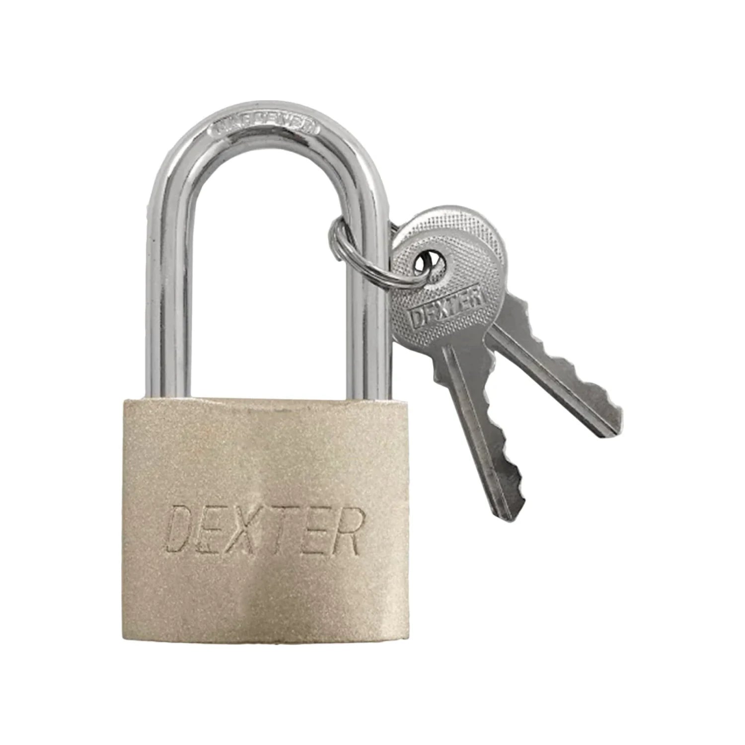 Candado de seguridad Dexter de metal plateado con dos llaves para uso general.