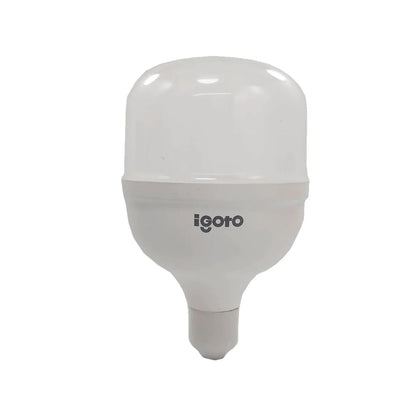 Foco led 30 W luz fría alto poder Igoto F10530