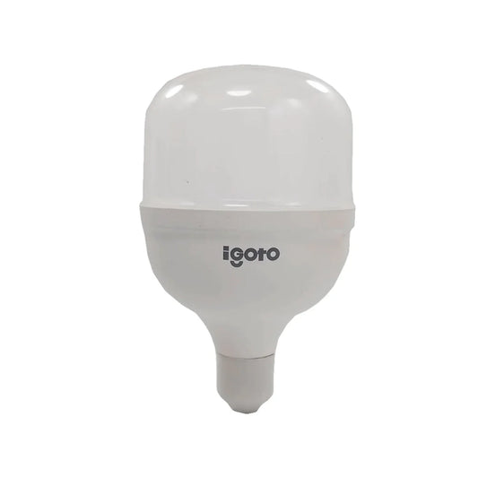 Foco led 30 W luz fría alto poder Igoto F10530