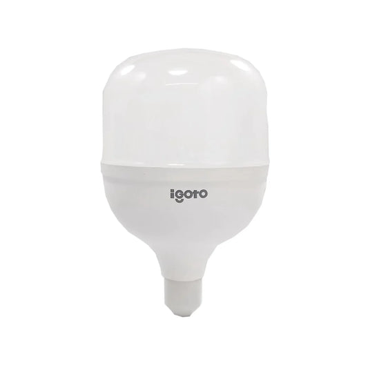 Foco led 40 W luz blanca/fría alto poder Igoto F10540
