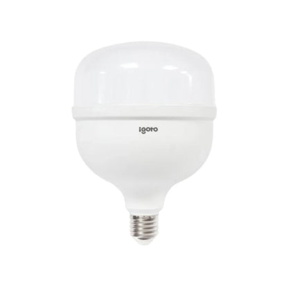 Foco led 50 W luz blanca/fría alto poder Igoto F10550