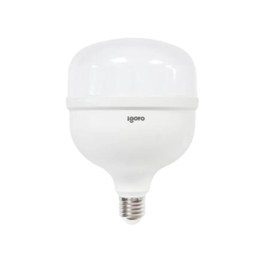Foco led 50 W luz blanca/fría alto poder Igoto F10550