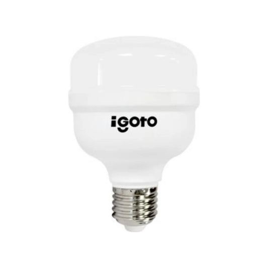 Foco led 20 W luz blanca/fría alto poder Igoto F10520