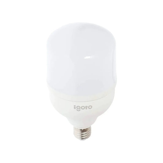 Foco led 100 W luz blanca/fría alto poder Igoto F105100