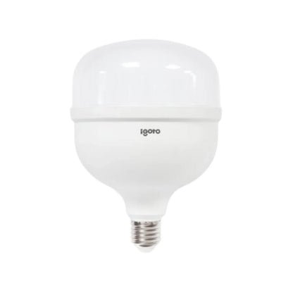 Foco led 70 W luz blanca/fría alto poder Igoto F10570