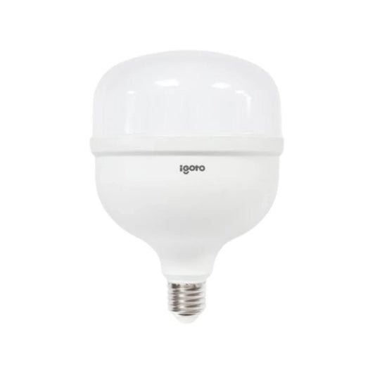 Foco led 70 W luz blanca/fría alto poder Igoto F10570