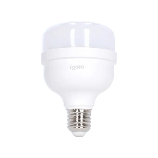 Foco led 20 W luz cálida alto poder Igoto F20520