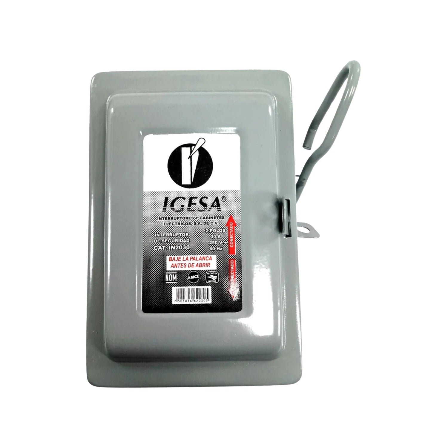 Interruptor de seguridad eléctrico Igesa IN2030 gris con palanca, 2 polos 30A 250V.