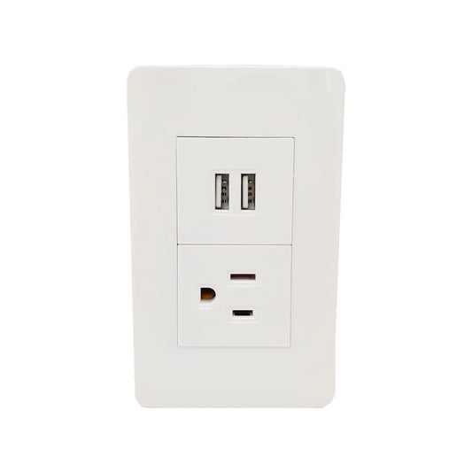 Placa 1 contacto/2 USB blanca Sanelec 4466